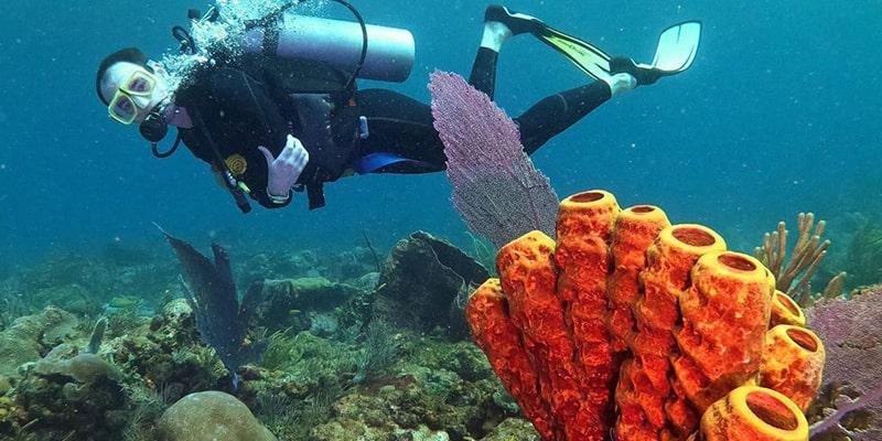 visit_tobago_beyond_tobago_undersea_tobago-min