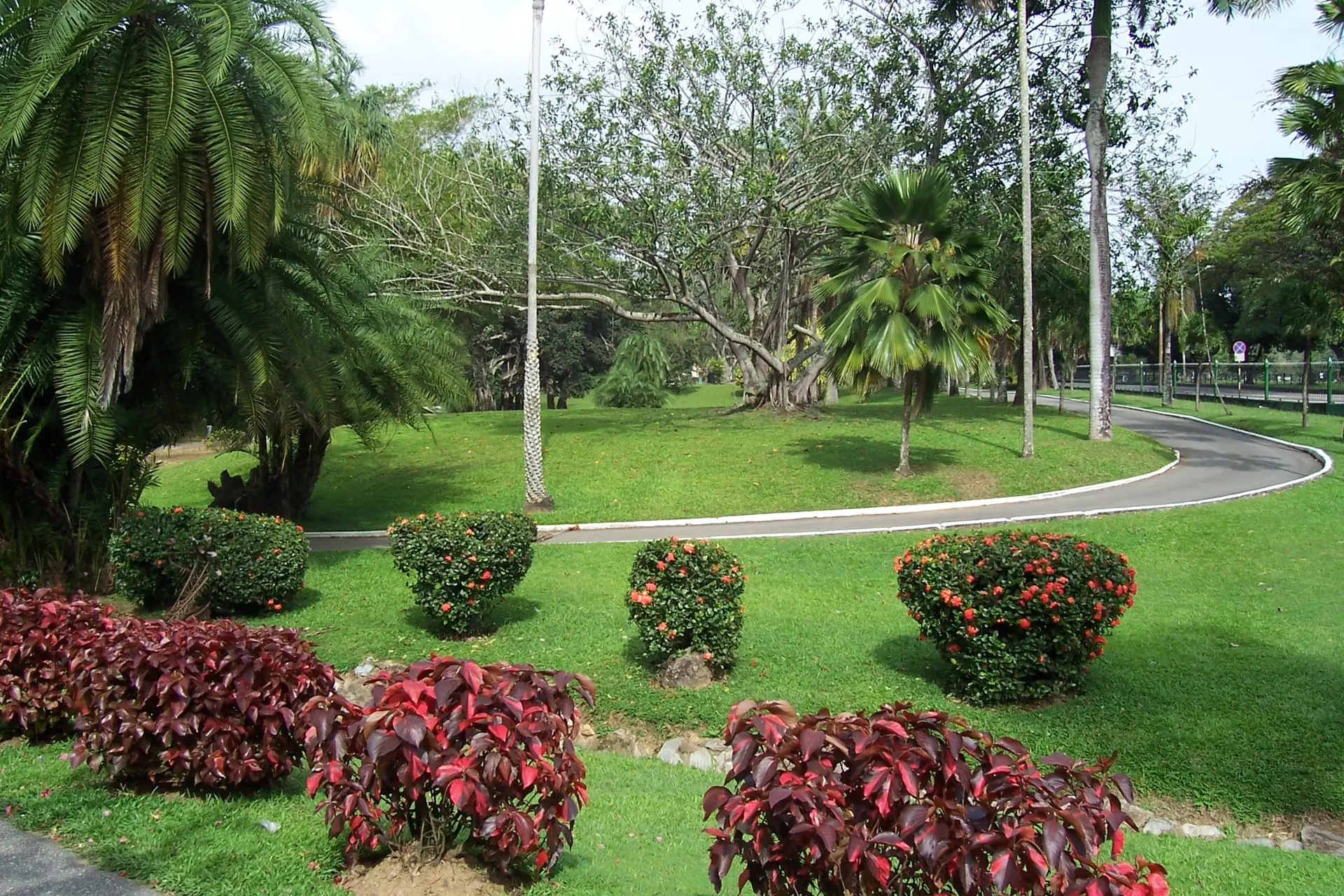 Botanic_Gardens_Trinidad_2006-03-22