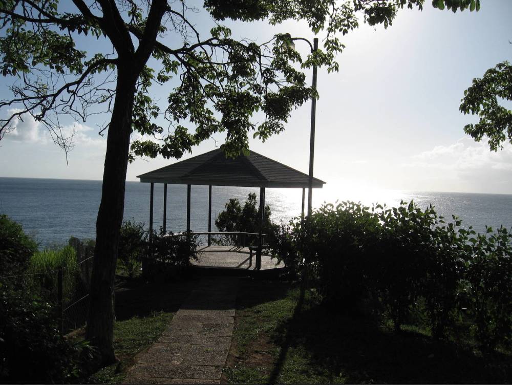 thierrydehove-mTobago-2014-74