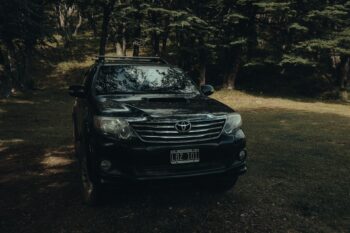 Car Rentals